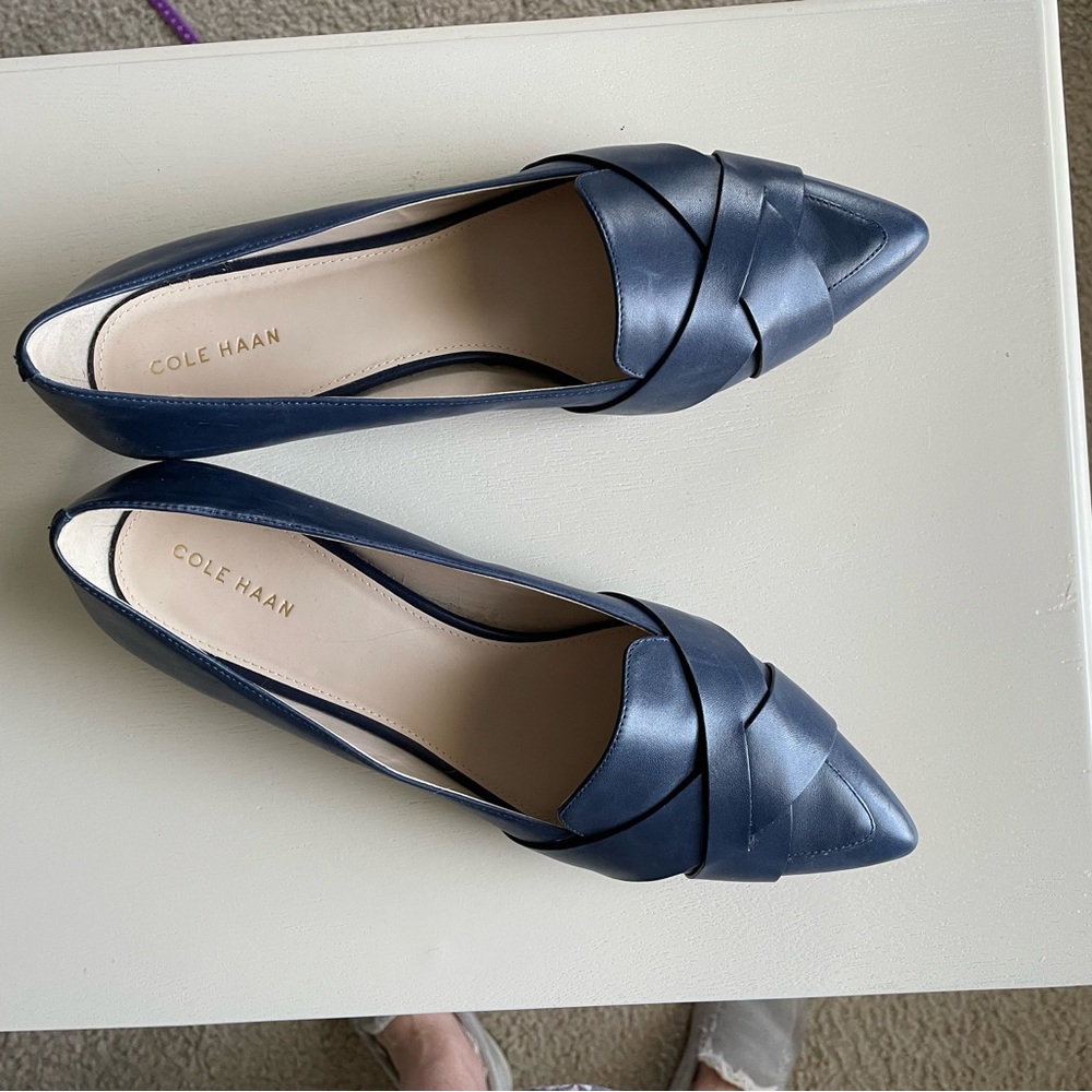 Cole Haan blue flats